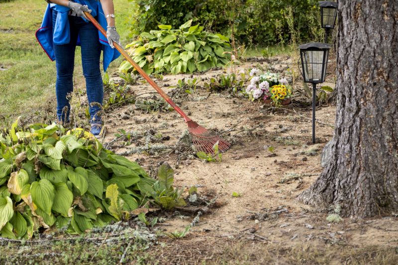 Property Line Clearing in Katy, TX