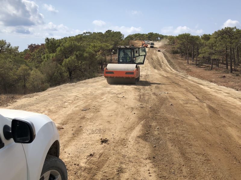 Road Grading Service