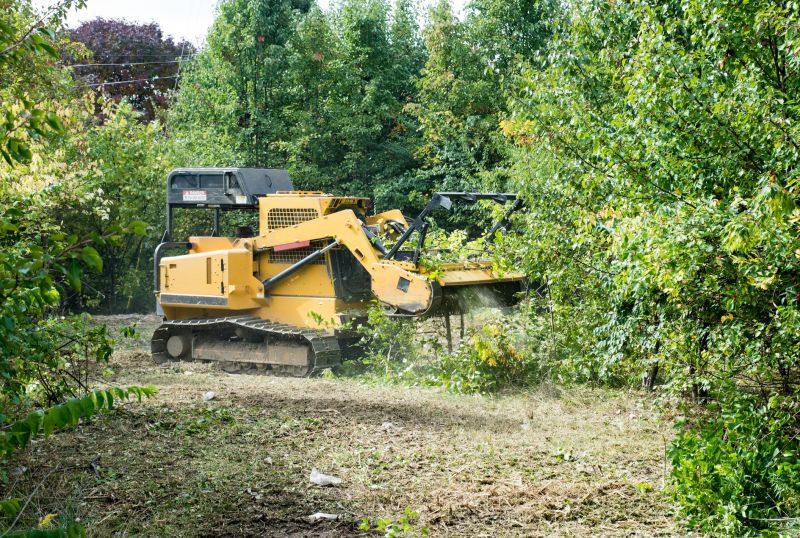Undergrowth Removal in Marietta, GA